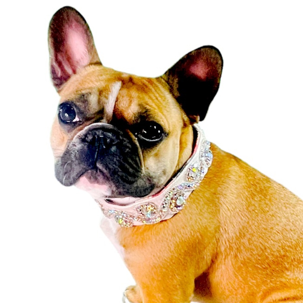 Stellagant bling collar